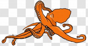 Octopus Cartoon Line Animal Clip Art Transparent PNG