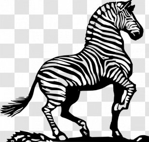 Zebra Horse Black And White Clip Art - Fauna - Animated Cliparts Transparent PNG