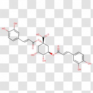 Image File Formats Receptor - Tiff - Peptide Transparent PNG