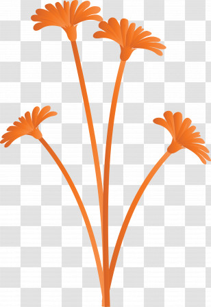 Dandelion Flower Transparent PNG