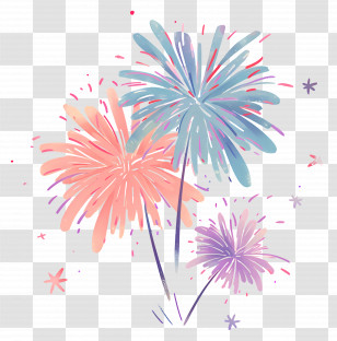 Fireworks - Colorful Fireworks Illustration For Celebration Transparent PNG