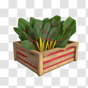 Swiss Chard
 - Wooden Crate Filled With Swiss Chard Transparent PNG