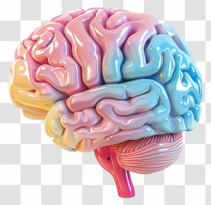 Brain - Gradient Colored Brain Illustration For Creativity Concept Transparent PNG