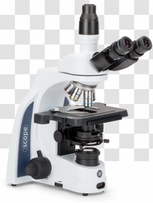 Optical Microscope Digital Petrographic Science - Biology Transparent PNG