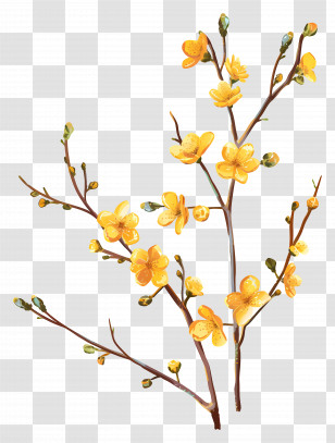 Small Yellow Flowers - Yellow Plum Blossoms On Branch Illustration Transparent PNG