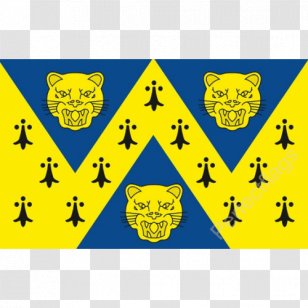 Shrewsbury Telford Flag Of Shropshire Finland - Yellow Transparent PNG