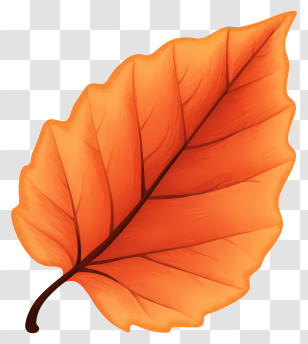 Orange Leaf - Orange Autumn Leaf Illustration Transparent PNG
