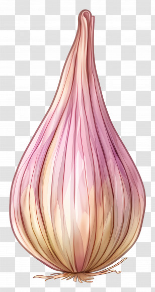 Shallot - Realistic Shallot Illustration Transparent PNG