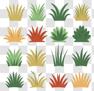 Plants - Various Colorful Grass Illustrations Transparent PNG