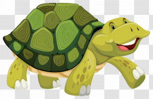 Cartoon Turtle - Smiling Cartoon Turtle Illustration Transparent PNG