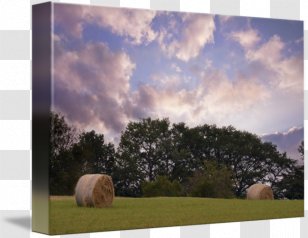 Painting Picture Frames Farm Energy Sky Plc Transparent PNG