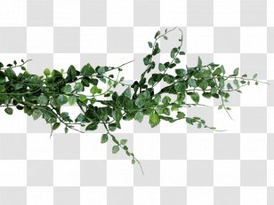 Flower Bouquet Fern Wedding Garland - Leaf Transparent PNG