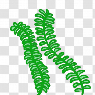 Fruit Tree Transparent PNG
