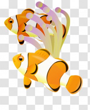 Clownfish Clip Art Drawing Fish Transparent Png - clownfish clipart transparent clownfish roblox png