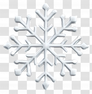 Snowflake Icon - Detailed Snowflake Illustration Transparent PNG