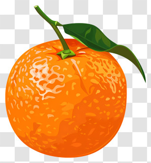 Tangerine - Illustration Of Vibrant Orange With Leaf Transparent PNG