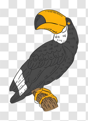 Bird Parrot - Toucan With Large Beak Transparent PNG