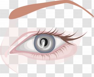 Eyebrow Eyelash Extensions Human Eye - Cartoon - Long Eyelashes Chart Transparent PNG