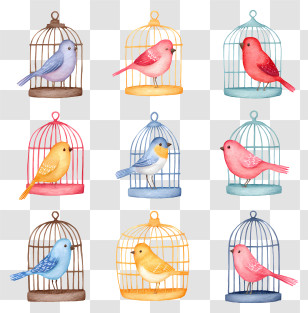 Birds In Various Cages - Cute Watercolor Birds In Cages Transparent PNG