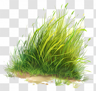 Grass Land - Natural Green Grass Patch Illustration Transparent PNG