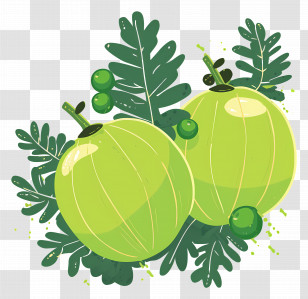 Amla Fruit - Fresh Green Fruits With Leaves Illustration Transparent PNG