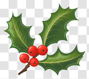 Christmas Icon - Holly Plant With Red Berries For Christmas Decor Transparent PNG