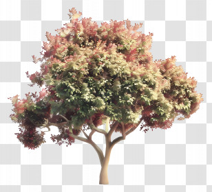 Animated Tree - Tree With Green And Red Leaves Transparent PNG