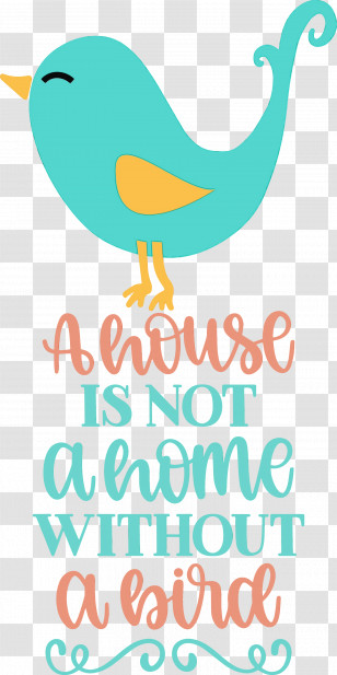 Line Teal Meter Beak Happiness Transparent PNG