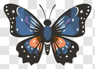 Cartoon - Blue And Orange Butterfly Illustration Transparent PNG