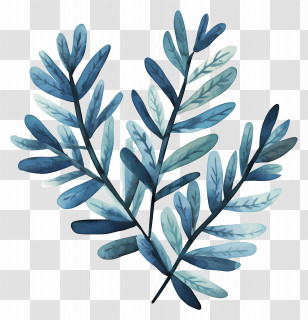 Leaf Painting - Blue Leafy Plant Watercolor Illustration Transparent PNG