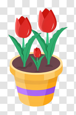 Icon - Potted Red Tulips Illustration Transparent PNG