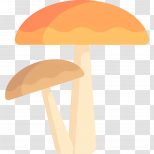 Mushroom - Pair Of Orange And Beige Mushrooms Illustration Transparent PNG