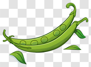 Pea Pod - Cartoon Illustration Of Green Peas Transparent PNG