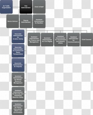 Organizational Chart Non-profit Organisation Structure Business ...