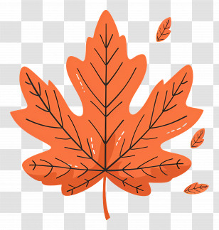 Autumn Maple Leaf - Vivid Orange Maple Leaf Illustration For Autumn Transparent PNG
