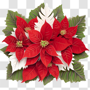 Poinsettia Flower - Red Poinsettia Bouquet For Christmas Decorations Transparent PNG