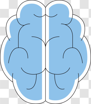 Human Brain - Brain Cartoon Illustration For Education Concept Transparent PNG