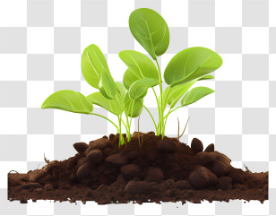 Sprout From The Ground - Young Green Plant In Soil Transparent PNG