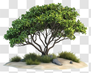 Savanna Bush - Green Tree With Bushes On Sand Transparent PNG