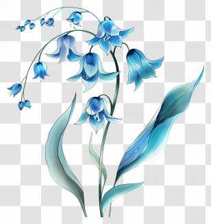 Blue Lily Of The Valley - Elegant Blue Bell Flower Illustration Transparent PNG