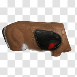Dog Shoe Snout Transparent PNG
