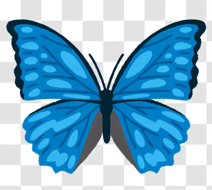 Bug - Blue Butterfly Illustration Transparent PNG