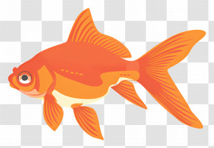 Orange Goldfish Art - Orange Goldfish Artwork Transparent PNG