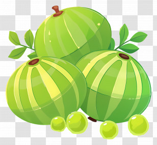 Amla Fruit - Green Striped Melons Illustration Transparent PNG