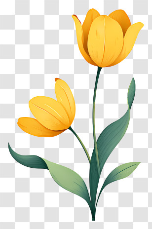 Yellow Tulips - Yellow Tulip Floral Illustration Transparent PNG