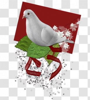 Beak Christmas Ornament Love Letter Clip Art - Bird Transparent PNG