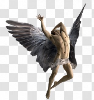 Woman Angel Child - Wildlife - Man Transparent PNG
