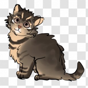 Whiskers Cat Lion Mammal Canidae - Tail Transparent PNG