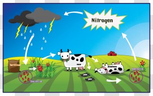 Nitrogen Cycle Gas Oxygen Rock - Art - Meadow Transparent PNG