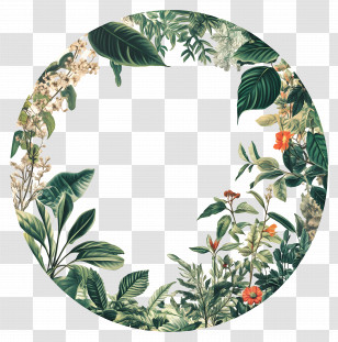 Green Circle Frame - Floral Wreath Decoration Transparent PNG